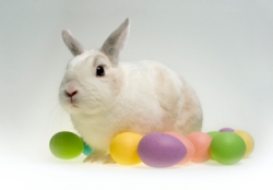 Easter in Chicago